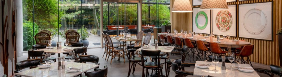 Dedetização em Restaurante em São Bernardo do Campo 24 HORAS